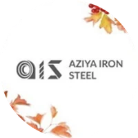 Aziya Iron Steel